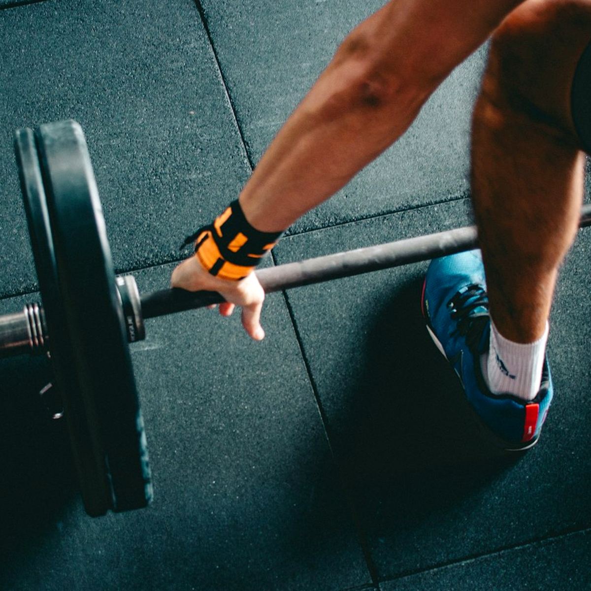 Spark Gym